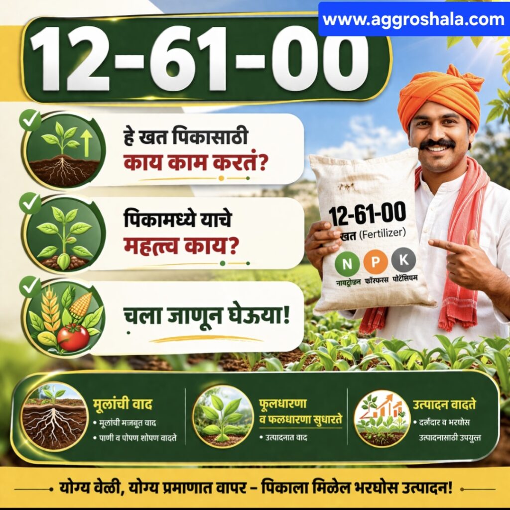 12-61-00 हे खत पिकासाठी किती महत्त्वाचा आहे व ते पिकासाठी काय काम करत?