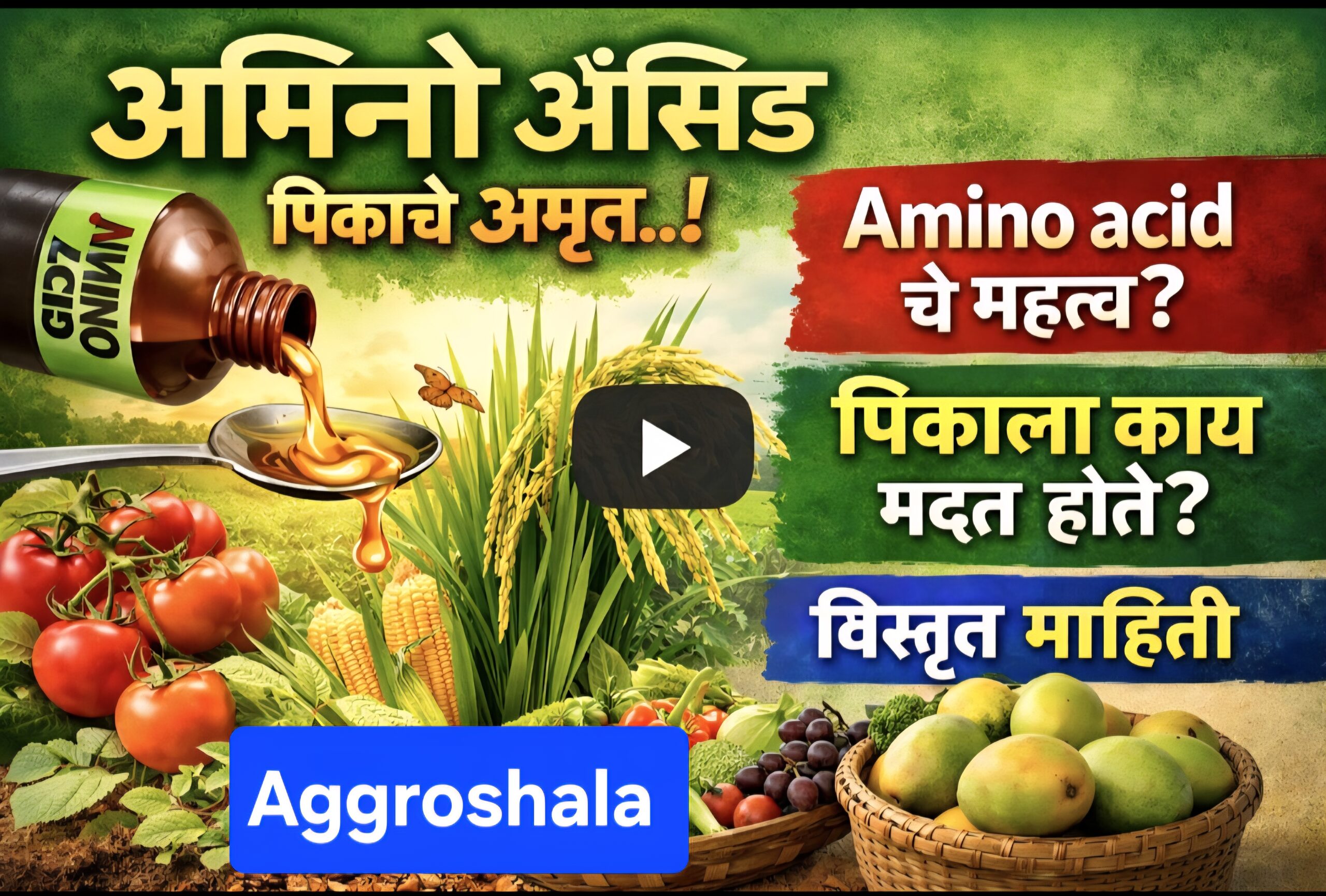 अमायनो ऍसिड आपल्या पिकांमध्ये काय काम करते?