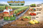 मल्चिंग पेपर चे फायदे काय आहेत? उत्पादनात वाढ होते का?
