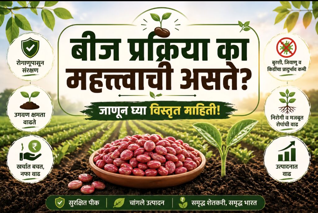 बीज प्रक्रिया कां महत्वाची असते?