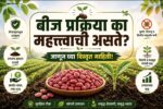 बीज प्रक्रिया कां महत्वाची असते?