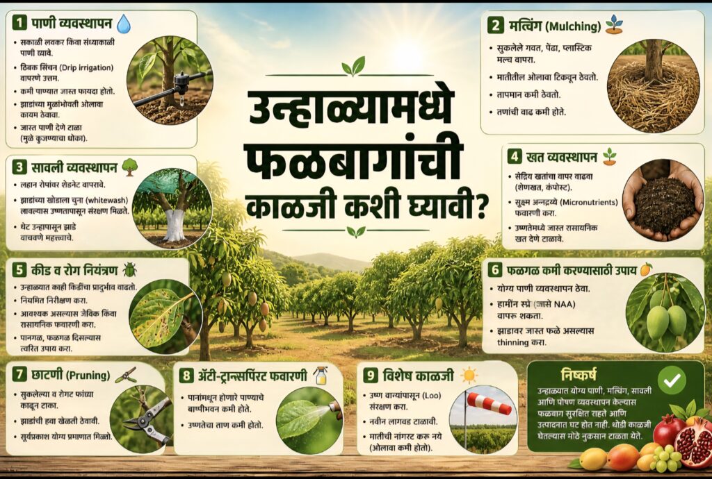 उन्हाळ्यामध्ये फळबागांची काळजी कशी घ्यावी?