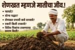 शेणखत चे फायदे काय व एकरी शेणखत किती टाकावे?