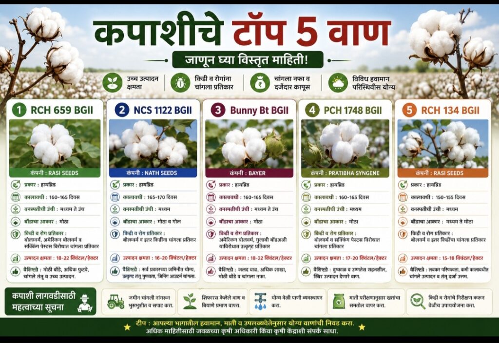 कपाशी चे टॉप 5 वाण