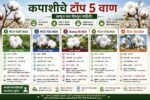 कपाशी चे टॉप 5 वाण