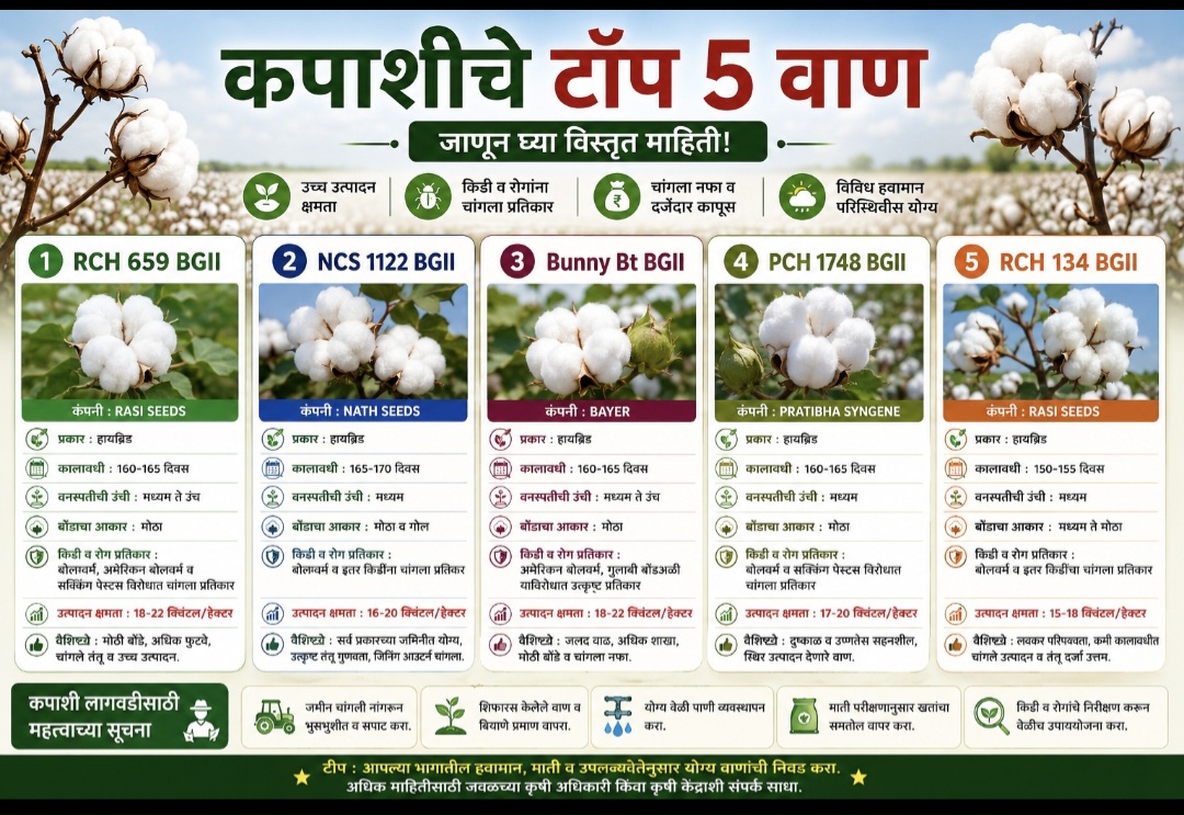 कपाशी चे टॉप 5 वाण