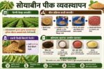सोयाबीन पीक व्यवस्थापन 2026.