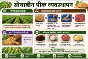 सोयाबीन पीक व्यवस्थापन 2026.